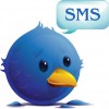 TwitterSMS